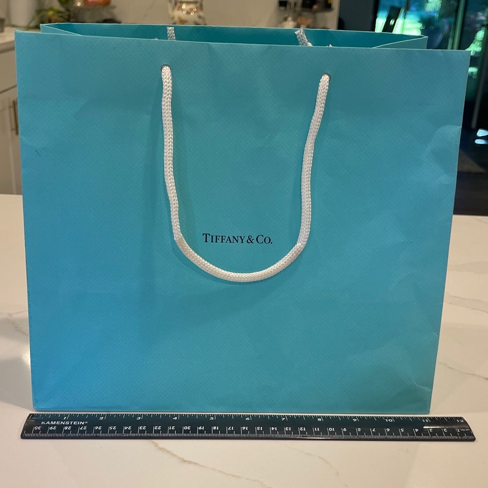 Tiffany & Co. Blue Gift Bag
